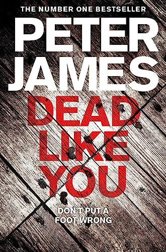 Dead Like You (Roy Grace, Band 6)