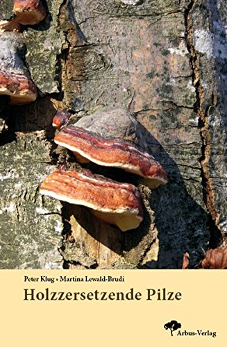 Holzzersetzende Pilze von Arbus