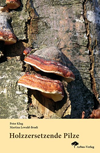 Holzzersetzende Pilze Holzzersetzende Pilze