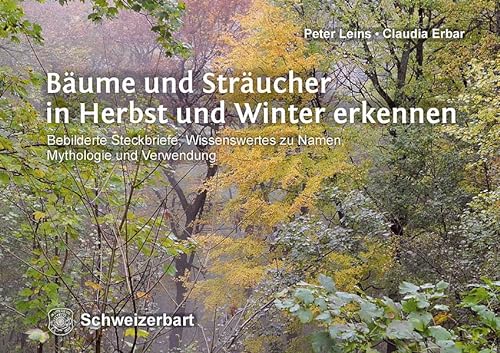Bäume und Sträucher in Herbst und Winter erkennen: Bebilderte Steckbriefe, Wissenswertes zu Namen, Mythologie und Verwendung