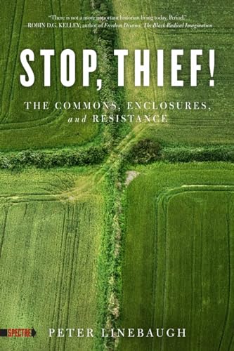Stop, Thief!: The Commons, Enclosures, and Resistance (Spectre) von PM Press