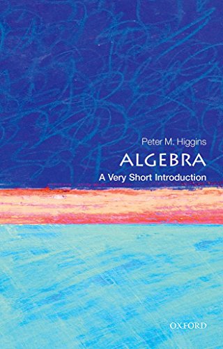 Algebra: A Very Short Introduction (Very Short Introductions) von Oxford University Press