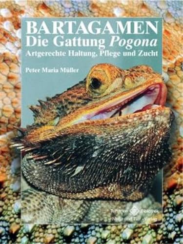 Bartagamen - Die Gattung Pogona: Artgerechte Haltung, Pflege und Zucht (Terrarien-Bibliothek) von NTV Natur und Tier-Verlag