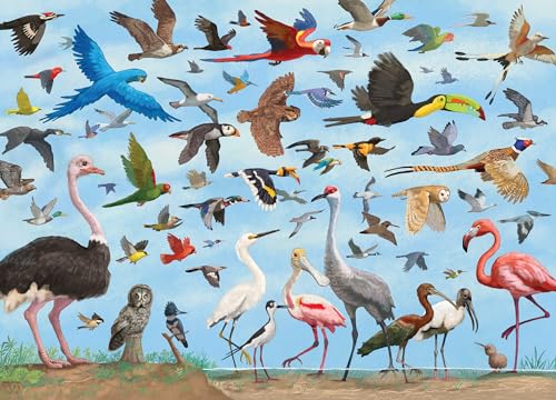 All the Birds Jigsaw Puzzle: 1,000 Pieces