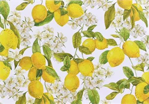 Amalfi Lemons Note Cards (14 cards, 15 self-sealing envelopes) von Peter Pauper Press