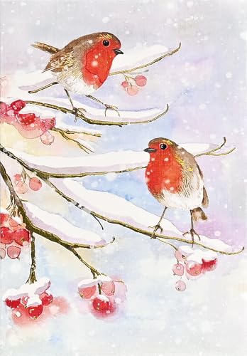 English Robins in Snow Small Boxed Holiday Cards (20 cards, 21 self-sealing envelopes) von Peter Pauper Press
