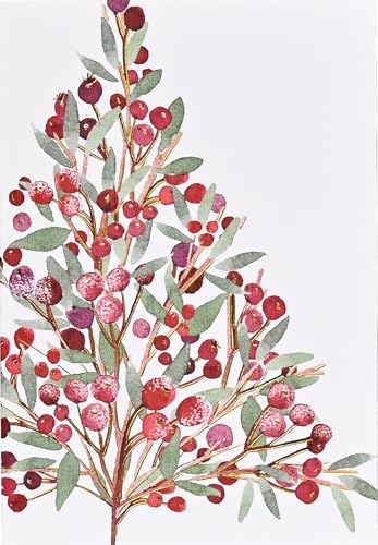 Festive Bough Small Boxed Holiday Cards (20 cards, 21 self-sealing envelopes) von Peter Pauper Press