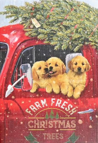 Festive Pups Small Boxed Holiday Cards (20 cards, 21 self-sealing envelopes) von Peter Pauper Press