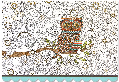 Owl Note Cards (Stationery, Boxed Cards) von Peter Pauper Press