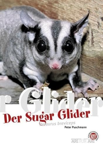 Der Sugar Glider: Petaurus breviceps: Art für Art (Buchreihe Art für Art Kleinsäuger)
