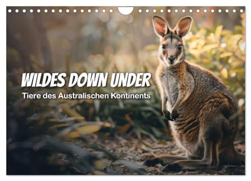 Wildes Down Under: Tiere des Australischen Kontinents (Wandkalender 2025 DIN A4 quer), CALVENDO Monatskalender