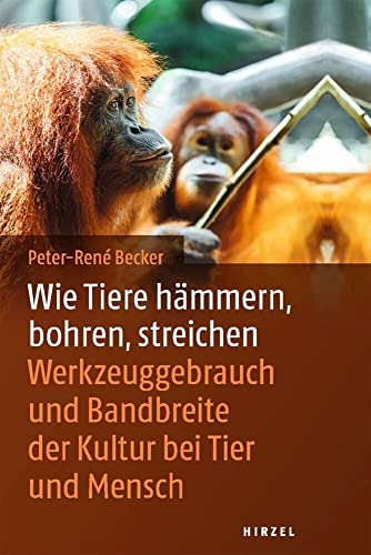 Wie Tiere hämmern, bohren, streichen: Werkzeuggebrauch im Tierreich: Werkzeuggebrauch und Bandbreite der Kultur bei Tier und Mensch von Hirzel S. Verlag