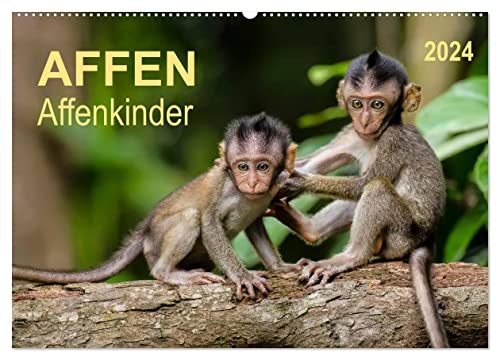 Affen - Affenkinder (Wandkalender 2024 DIN A2 quer), CALVENDO Monatskalender