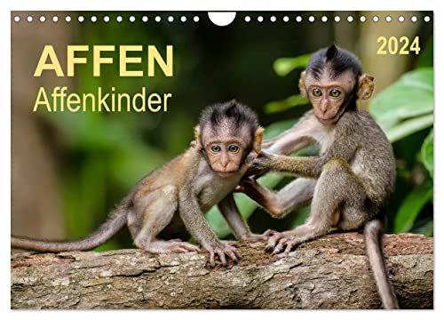 Affen - Affenkinder (Wandkalender 2024 DIN A4 quer), CALVENDO Monatskalender von CALVENDO
