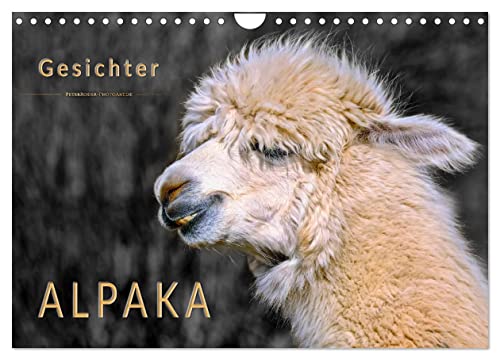 Alpaka Gesichter (Wandkalender 2024 DIN A4 quer), CALVENDO Monatskalender: Eindrucksvolle Bilder der niedlichen Wuschelköpfe. (CALVENDO Tiere)