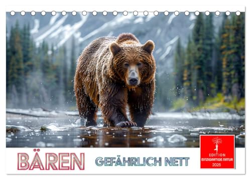 Bären - gefährlich nett (Tischkalender 2025 DIN A5 quer), CALVENDO Monatskalender