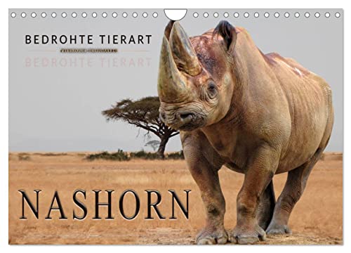 Bedrohte Tierart - Nashorn (Wandkalender 2024 DIN A4 quer), CALVENDO Monatskalender