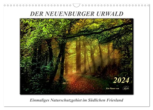 Der Neuenburger Urwald (Wandkalender 2024 DIN A3 quer), CALVENDO Monatskalender