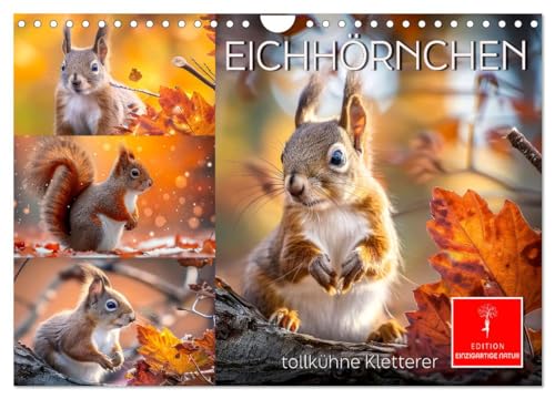 Eichhörnchen - tollkühne Kletterer (Wandkalender 2025 DIN A4 quer), CALVENDO Monatskalender