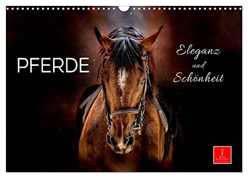 Eleganz und Schönheit - Pferde (Wandkalender 2024 DIN A3 quer), CALVENDO Monatskalender von CALVENDO
