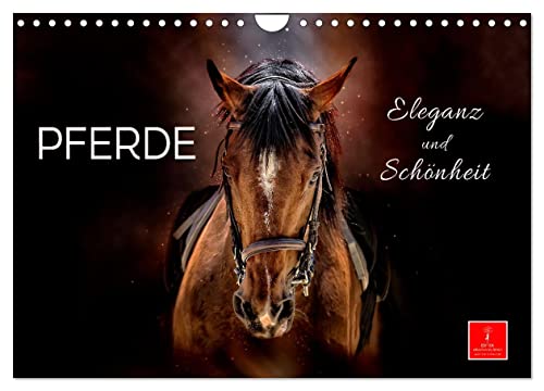 Eleganz und Schönheit - Pferde (Wandkalender 2024 DIN A4 quer), CALVENDO Monatskalender