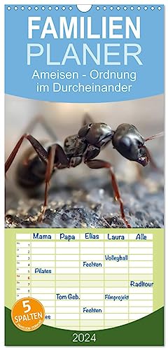 Familienplaner 2024 - Ameisen - Ordnung im Durcheinander mit 5 Spalten (Wandkalender, 21 cm x 45 cm) CALVENDO