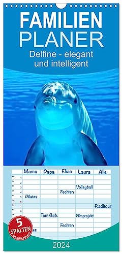 Familienplaner 2024 - Delfine - elegant und intelligent mit 5 Spalten (Wandkalender, 21 cm x 45 cm) CALVENDO