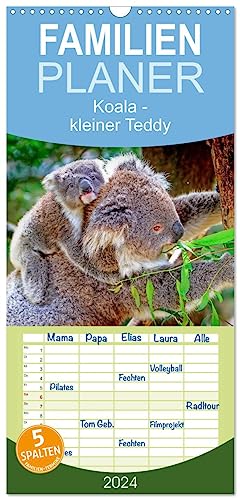 Familienplaner 2024 - Koala - kleiner Teddy mit 5 Spalten (Wandkalender, 21 cm x 45 cm) CALVENDO