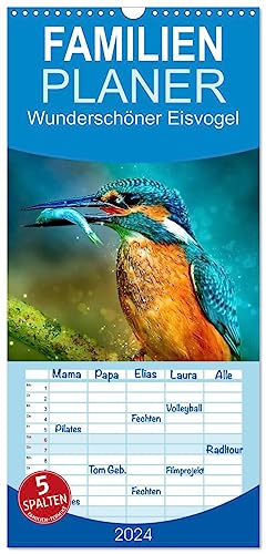 Familienplaner 2024 - Wunderschöner Eisvogel mit 5 Spalten (Wandkalender, 21 cm x 45 cm) CALVENDO