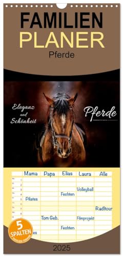 Familienplaner 2025 - Eleganz und Schönheit - Pferde mit 5 Spalten (Wandkalender, 21 cm x 45 cm), CALVENDO