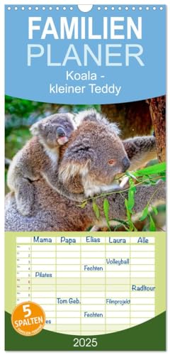 Familienplaner 2025 - Koala - kleiner Teddy mit 5 Spalten (Wandkalender, 21 cm x 45 cm), CALVENDO von CALVENDO