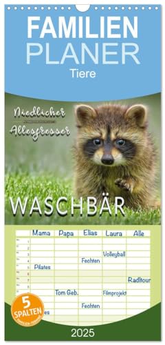 Familienplaner 2025 - Waschbär - Niedlicher Allesfresser mit 5 Spalten (Wandkalender, 21 cm x 45 cm), CALVENDO