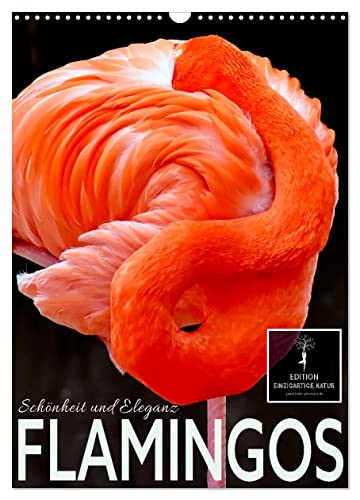 Flamingos - Eleganz und Schönheit (Wandkalender 2024 DIN A3 hoch), CALVENDO Monatskalender