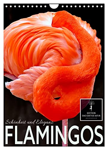 Flamingos - Eleganz und Schönheit (Wandkalender 2024 DIN A4 hoch), CALVENDO Monatskalender