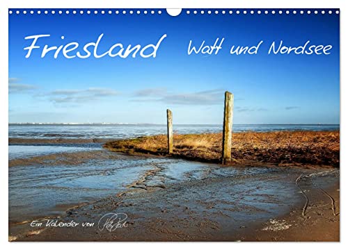 Friesland - Watt und Nordsee/CH-Version (Wandkalender 2024 DIN A3 quer), CALVENDO Monatskalender