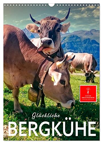 Glückliche Bergkühe (Wandkalender 2025 DIN A3 hoch), CALVENDO Monatskalender