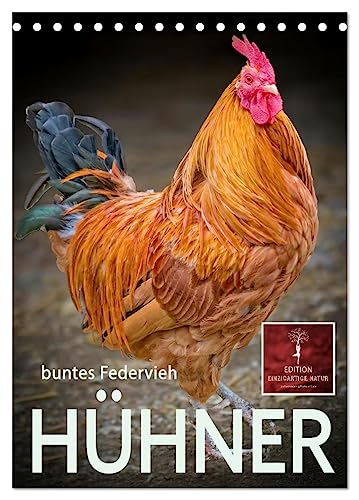 Hühner - buntes Federvieh (Tischkalender 2024 DIN A5 hoch), CALVENDO Monatskalender