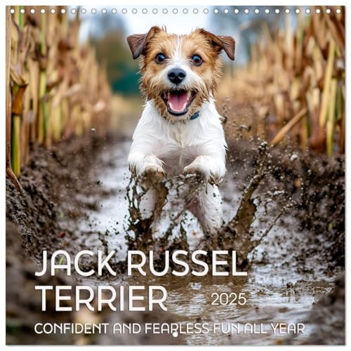 Jack Russel Terrier - Confident and Fearless Fun All Year (Wall Calendar 2025 12" x 24" / 30 x 60 cm (open)) CALVENDO 12 Month Wall Calendar von CALVENDO