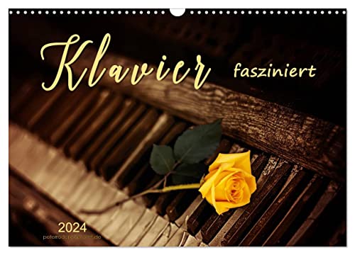 Klavier fasziniert (Wandkalender 2024 DIN A3 quer), CALVENDO Monatskalender