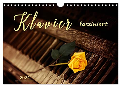 Klavier fasziniert (Wandkalender 2024 DIN A4 quer), CALVENDO Monatskalender