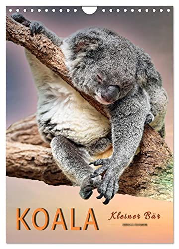 Koala, kleiner Bär (Wandkalender 2025 DIN A4 hoch), CALVENDO Monatskalender von CALVENDO