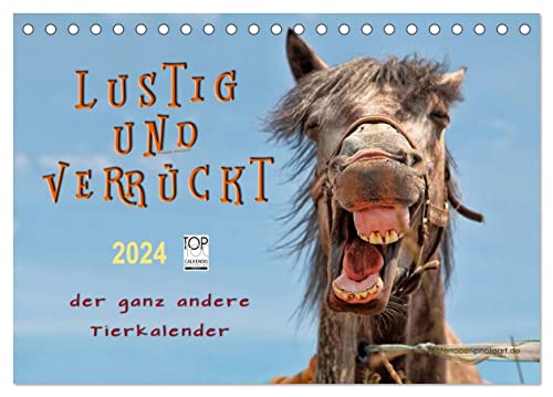 Lustig und verrückt - der ganz andere Tierkalender (Tischkalender 2024 DIN A5 quer), CALVENDO Monatskalender