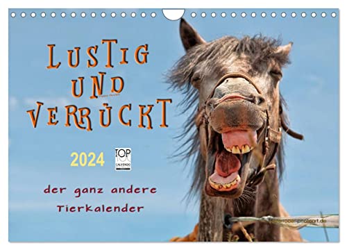 Lustig und verrückt - der ganz andere Tierkalender (Wandkalender 2024 DIN A4 quer), CALVENDO Monatskalender von CALVENDO