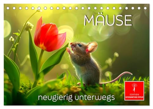 Mäuse - neugierig unterwegs (Tischkalender 2025 DIN A5 quer), CALVENDO Monatskalender
