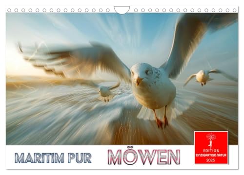 Maritim pur - Möwen (Wandkalender 2025 DIN A4 quer), CALVENDO Monatskalender