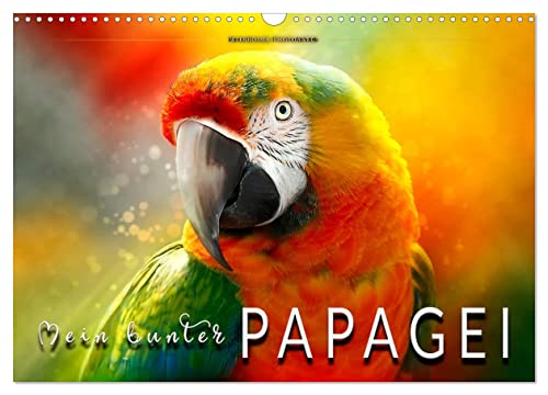 Mein bunter Papagei (Wandkalender 2024 DIN A3 quer), CALVENDO Monatskalender