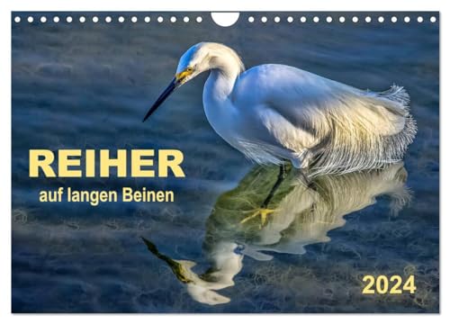 Reiher - auf langen Beinen (Wandkalender 2024 DIN A4 quer), CALVENDO Monatskalender von CALVENDO