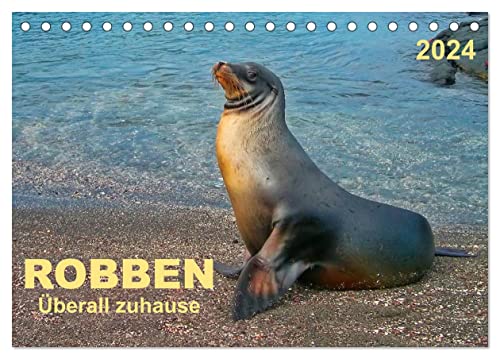 Robben - überall zuhause (Tischkalender 2024 DIN A5 quer), CALVENDO Monatskalender von CALVENDO