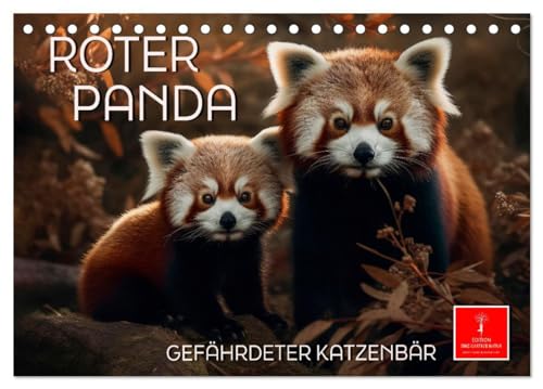Roter Panda - gefährdeter Katzenbär (Tischkalender 2024 DIN A5 quer), CALVENDO Monatskalender: Eindrucksvolle Bilder eines wunderschönen Tieres. (CALVENDO Tiere)