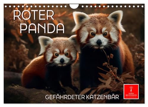 Roter Panda - gefährdeter Katzenbär (Wandkalender 2024 DIN A4 quer), CALVENDO Monatskalender: Eindrucksvolle Bilder eines wunderschönen Tieres. (CALVENDO Tiere) von CALVENDO